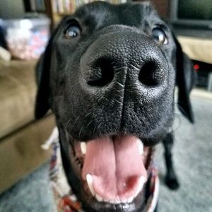 Meet your Posher, Austin